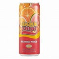 LIQUIFRUIT CAN - BREAKFAST PUNCH